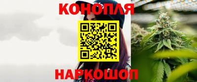 сатива Можайск