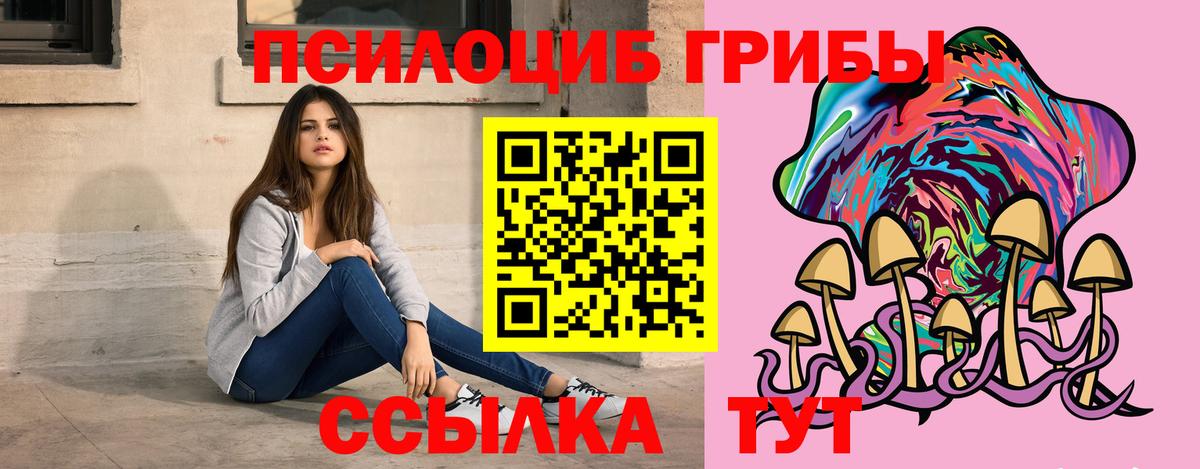 Псилоцибиновые грибы Psilocybe Углич