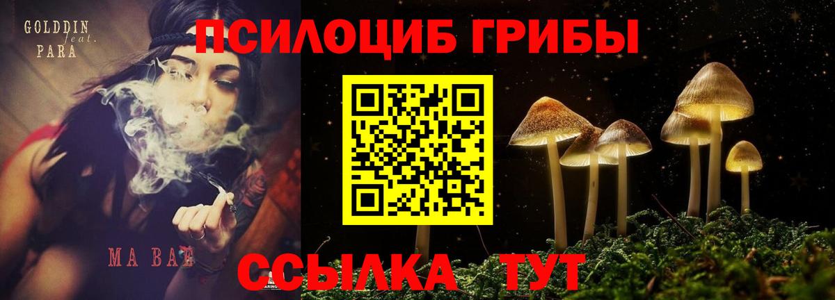 Углич  хочу   Вход с VPN  Галлюциногенные грибы Psilocybe 